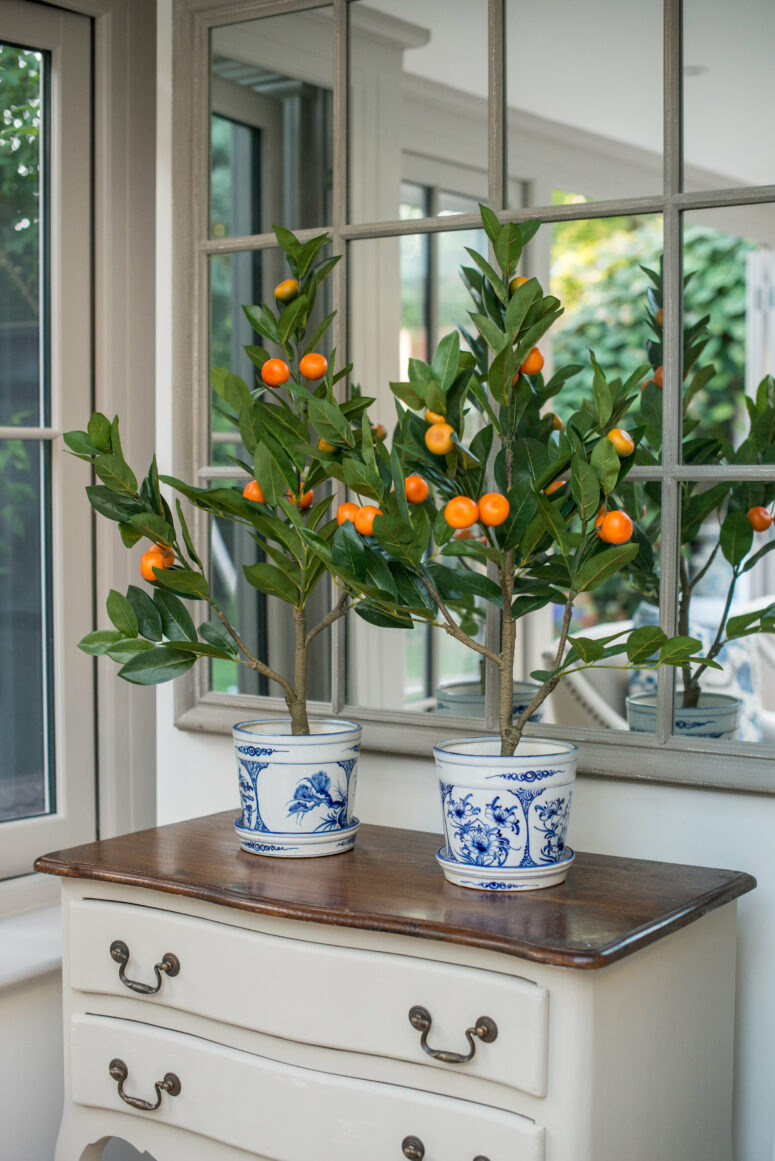 Orange Tree